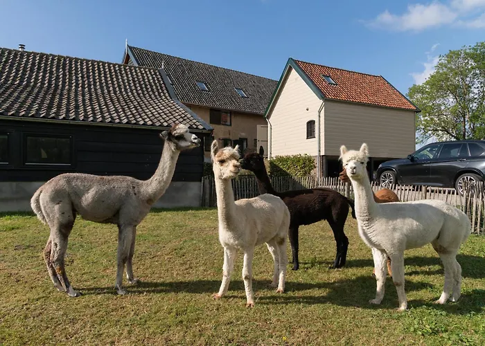 Landelijke Boerderijkamer, Dichtbij Kinderdijk Oud-Alblas