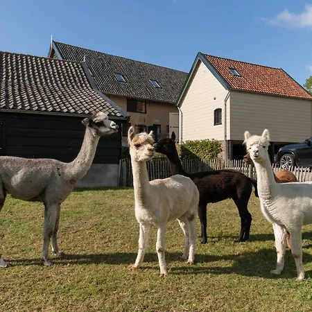 Landelijke Boerderijkamer, Dichtbij Kinderdijk Oud-Alblas